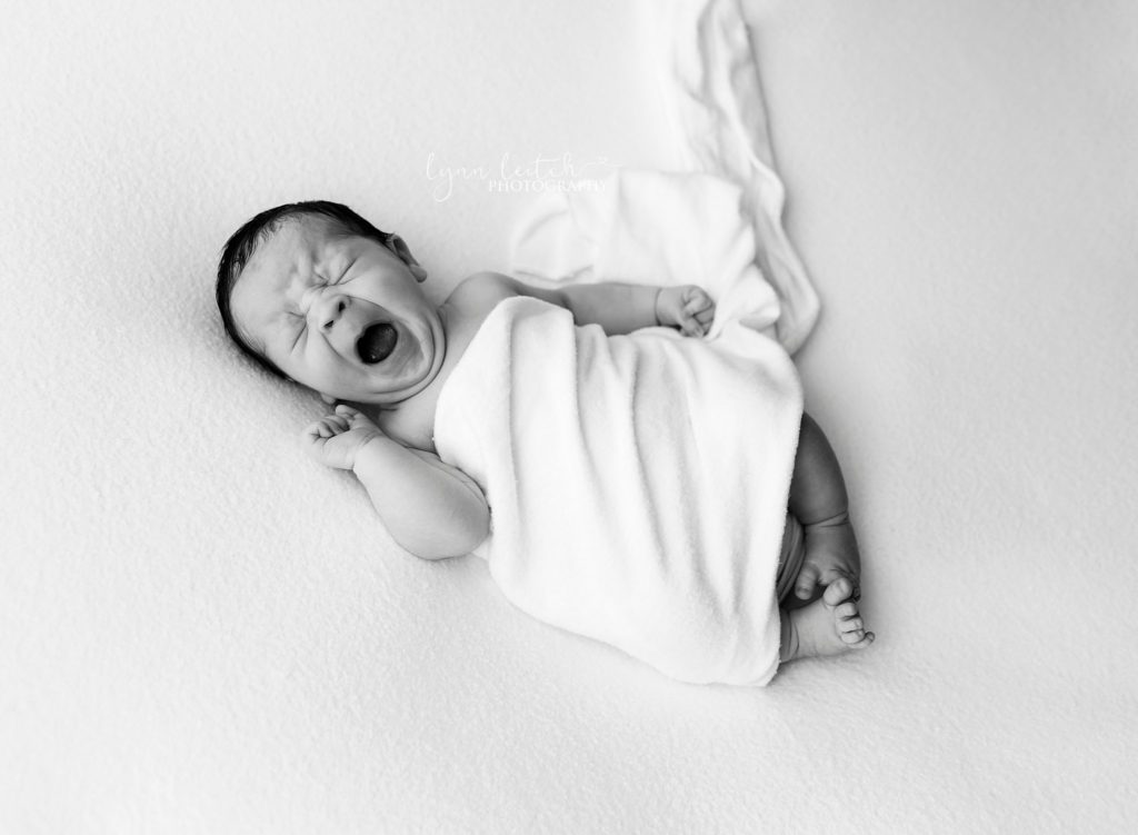 Newborn Photographer Columbus Ohio